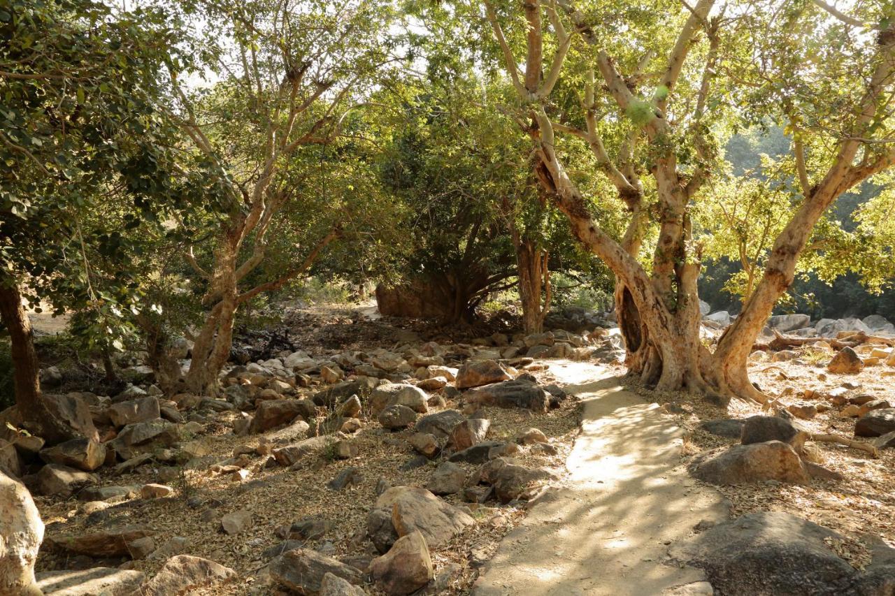 Bijapur Lodge Jawai ภายนอก รูปภาพ